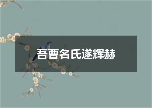 吾曹名氏遂辉赫