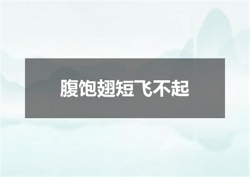 腹饱翅短飞不起