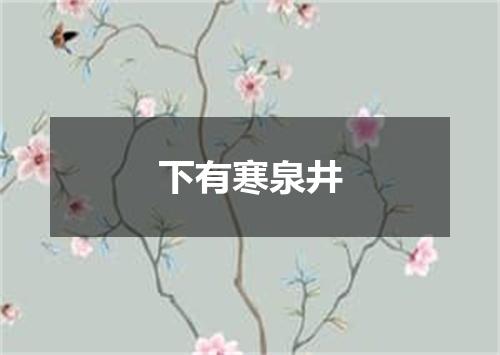 下有寒泉井