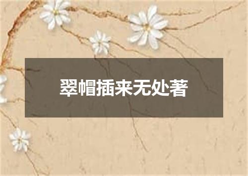 翠帽插来无处著