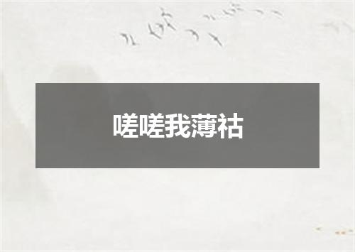 嗟嗟我薄祜