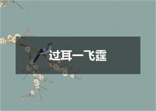 过耳一飞霆
