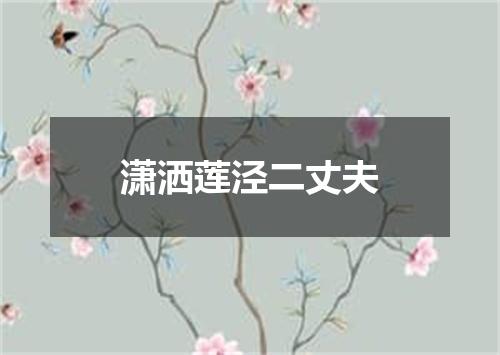 潇洒莲泾二丈夫