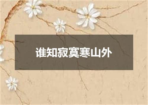谁知寂寞寒山外