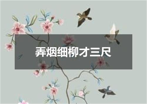 弄烟细柳才三尺