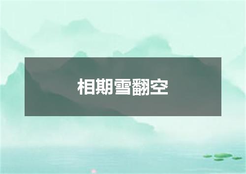相期雪翻空