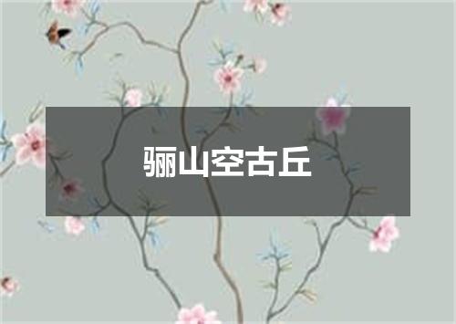 骊山空古丘