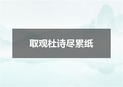取观杜诗尽累纸