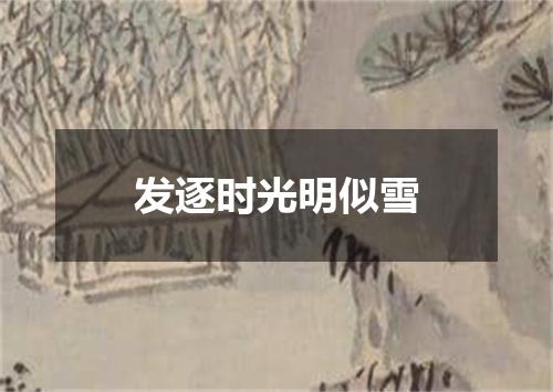 发逐时光明似雪
