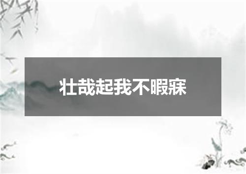 壮哉起我不暇寐