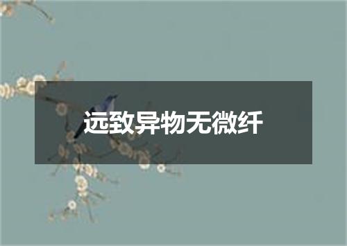 远致异物无微纤