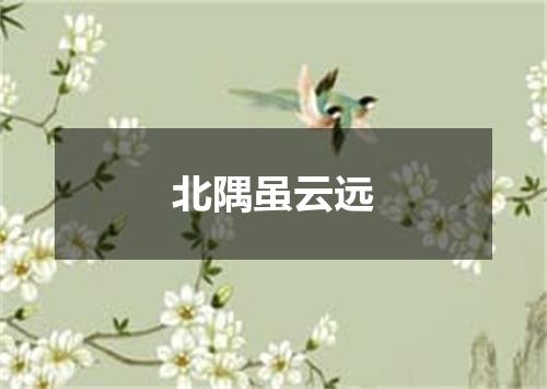 北隅虽云远