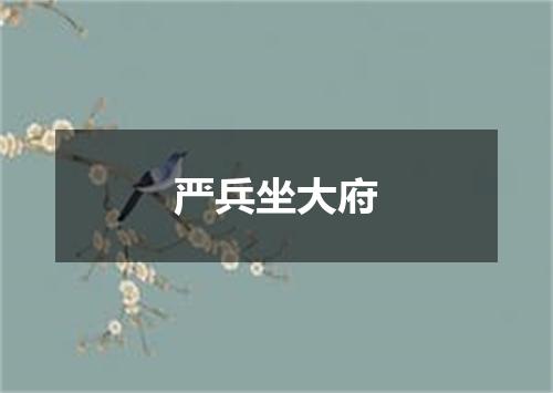 严兵坐大府