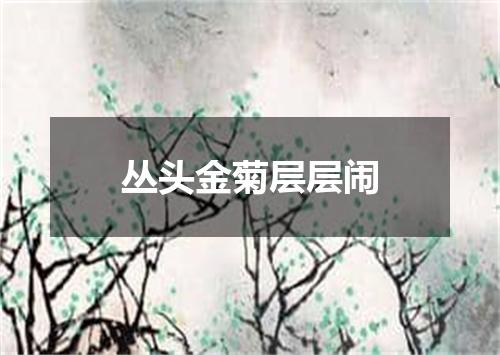 丛头金菊层层闹