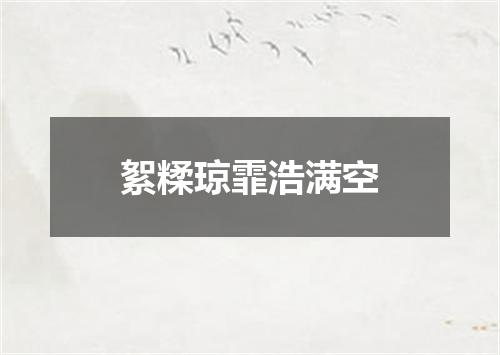 絮糅琼霏浩满空