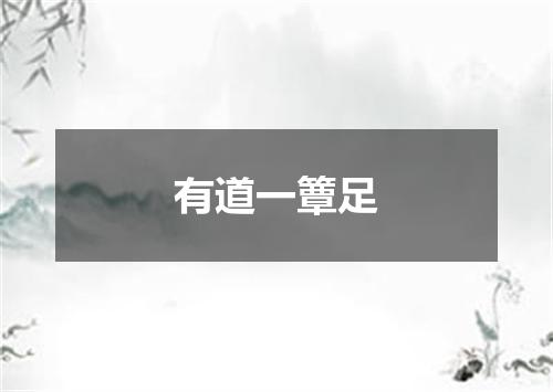 有道一簟足