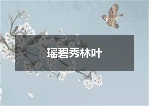 瑶碧秀林叶