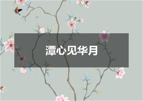 潭心见华月