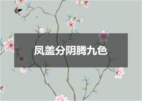 凤盖分阴腾九色