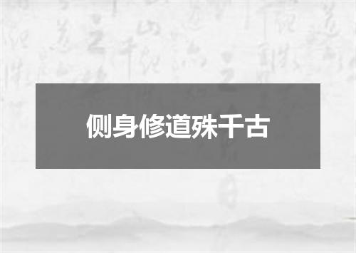 侧身修道殊千古