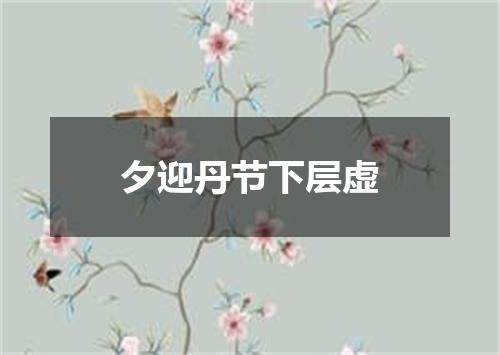 夕迎丹节下层虚