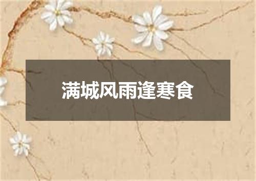 满城风雨逢寒食