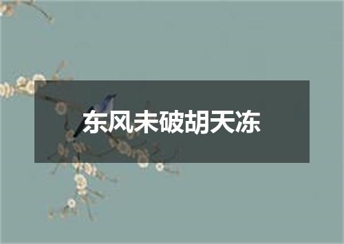 东风未破胡天冻