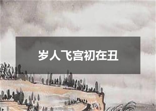 岁人飞宫初在丑