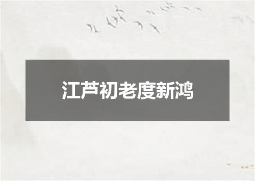 江芦初老度新鸿