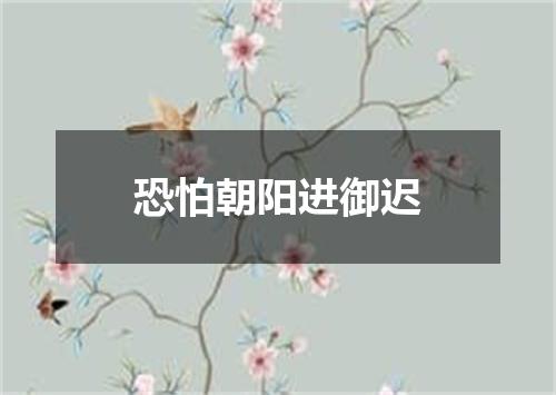恐怕朝阳进御迟