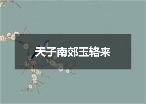 天子南郊玉辂来