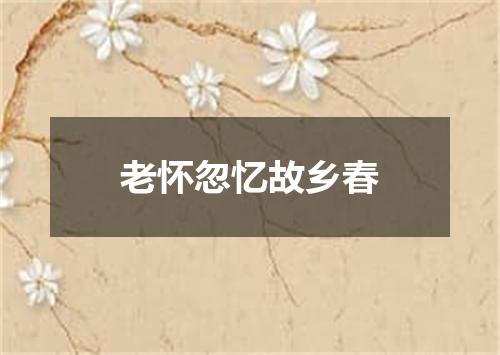 老怀忽忆故乡春