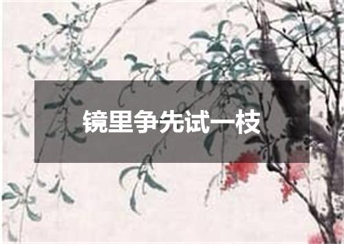镜里争先试一枝