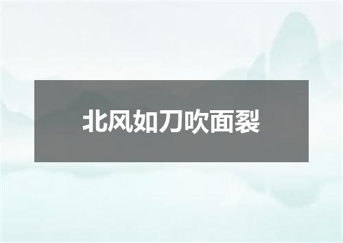 北风如刀吹面裂