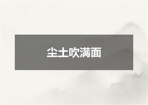 尘土吹满面