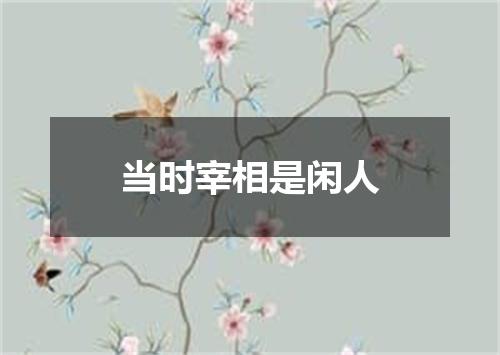 当时宰相是闲人