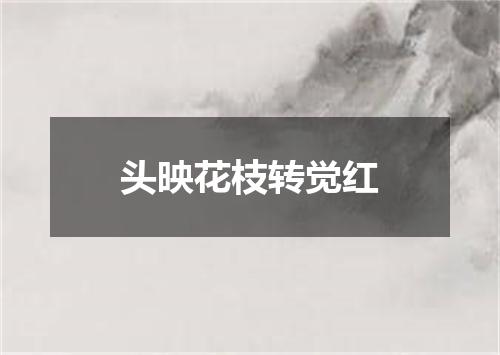头映花枝转觉红