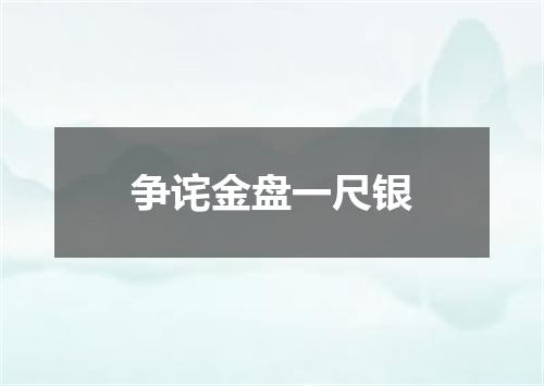 争诧金盘一尺银