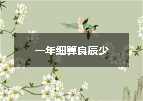 一年细算良辰少