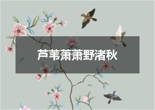 芦苇萧萧野渚秋