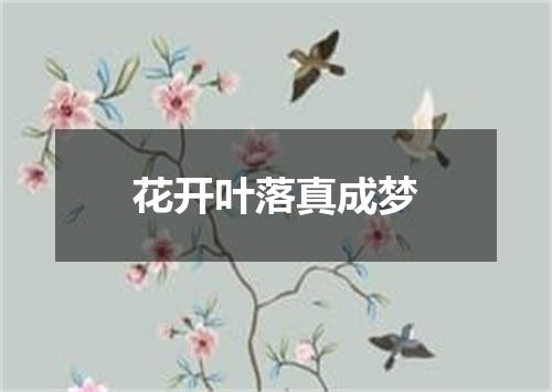 花开叶落真成梦