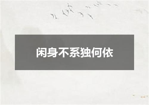 闲身不系独何依