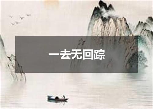 一去无回踪