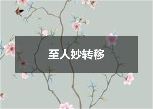 至人妙转移