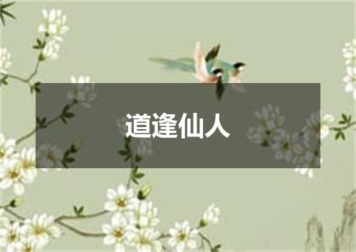道逢仙人