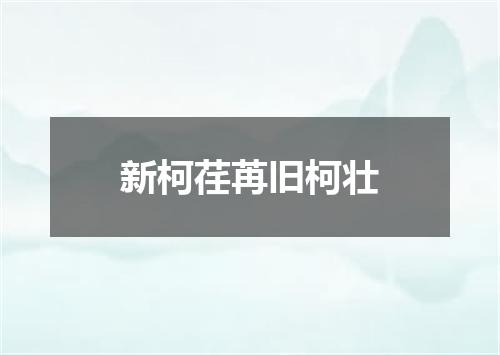 新柯荏苒旧柯壮