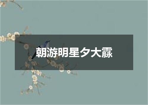 朝游明星夕大霡