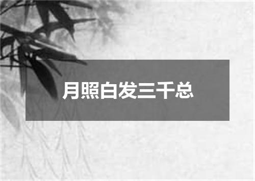 月照白发三千总