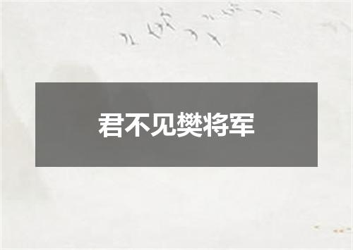 君不见樊将军