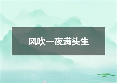 风吹一夜满头生